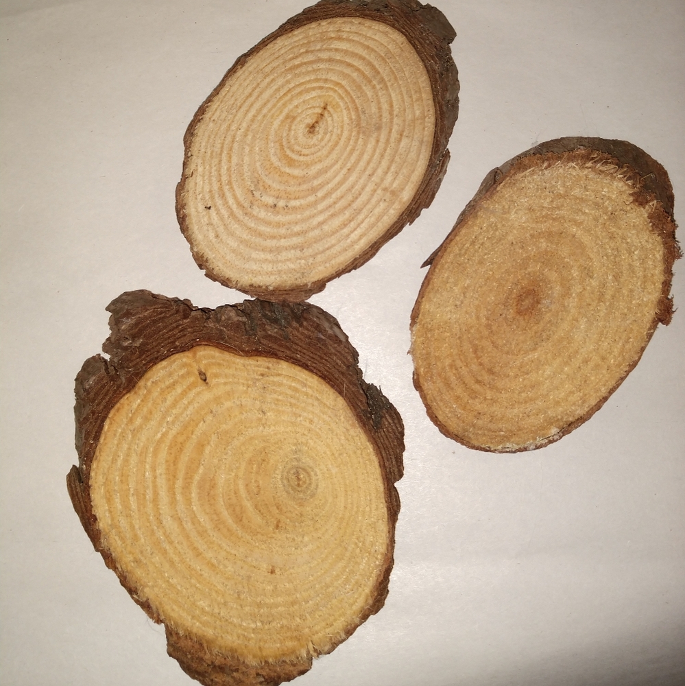 🎉 FREE pick item 🎉 Three oval shaped real wood crafting rounds, NEW never used